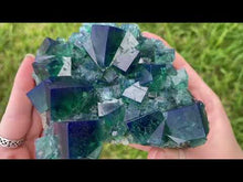 Load and play video in Gallery viewer, English Fluorite from the Cousin Jack Pocket - F1065
