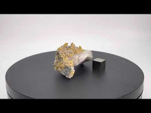 Load and play video in Gallery viewer, Natural Gold on Quartz with Gneiss
